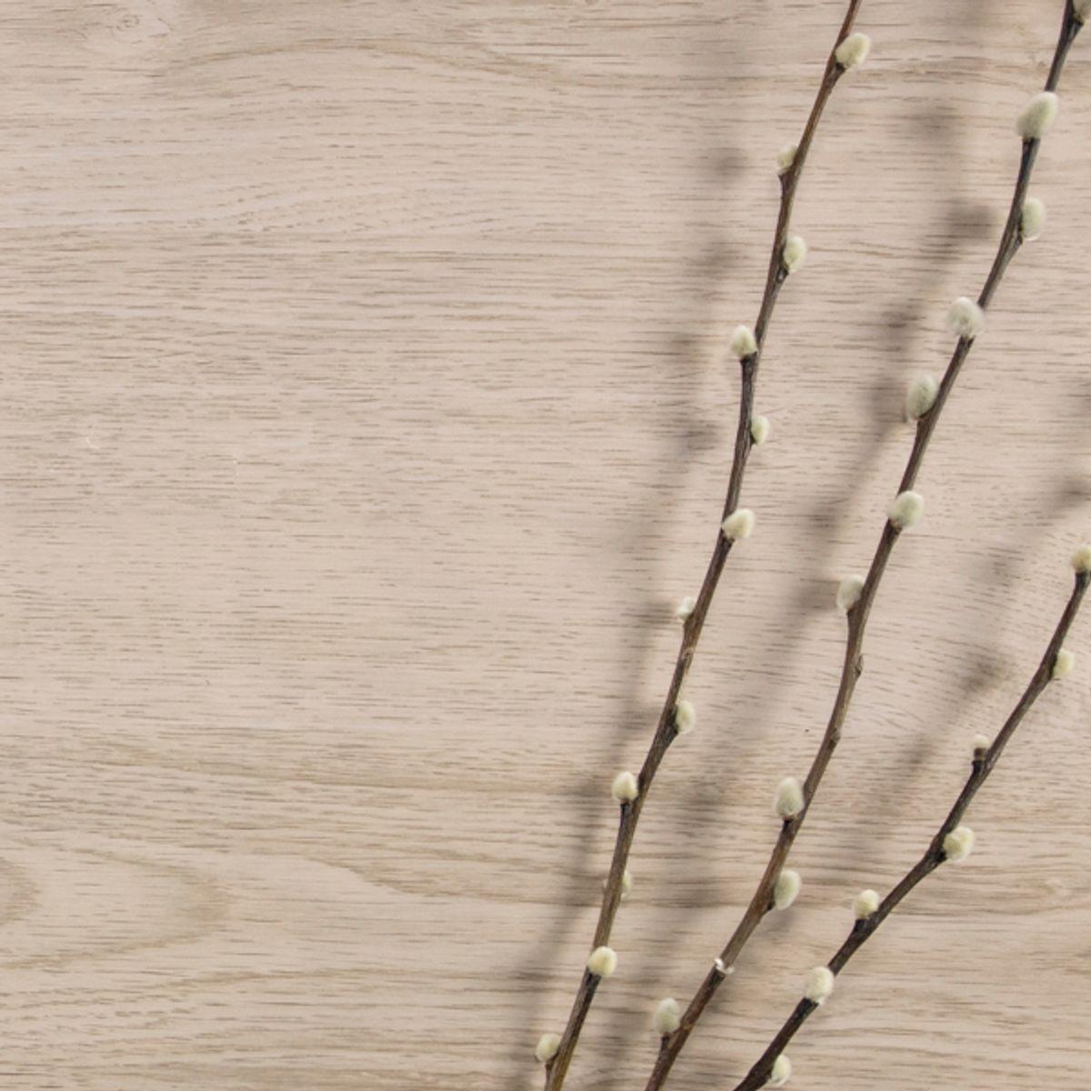 Vareprøve: Oak Minimal kontaktplast - Lindas Dekor