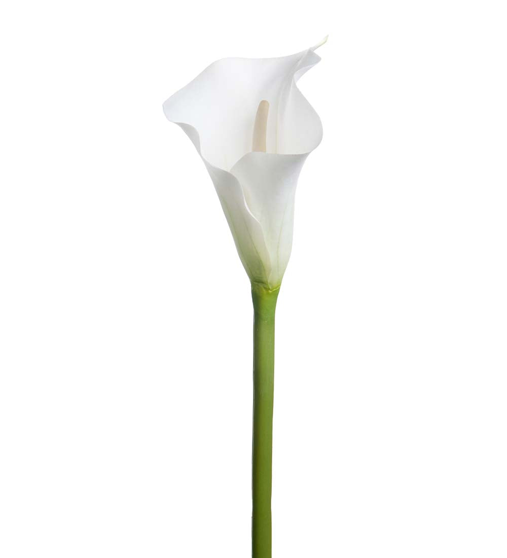 Naturtro kunstig calla lilje fra Mr. Plant – elegant og tidløs blomst for dekor og arrangementer.