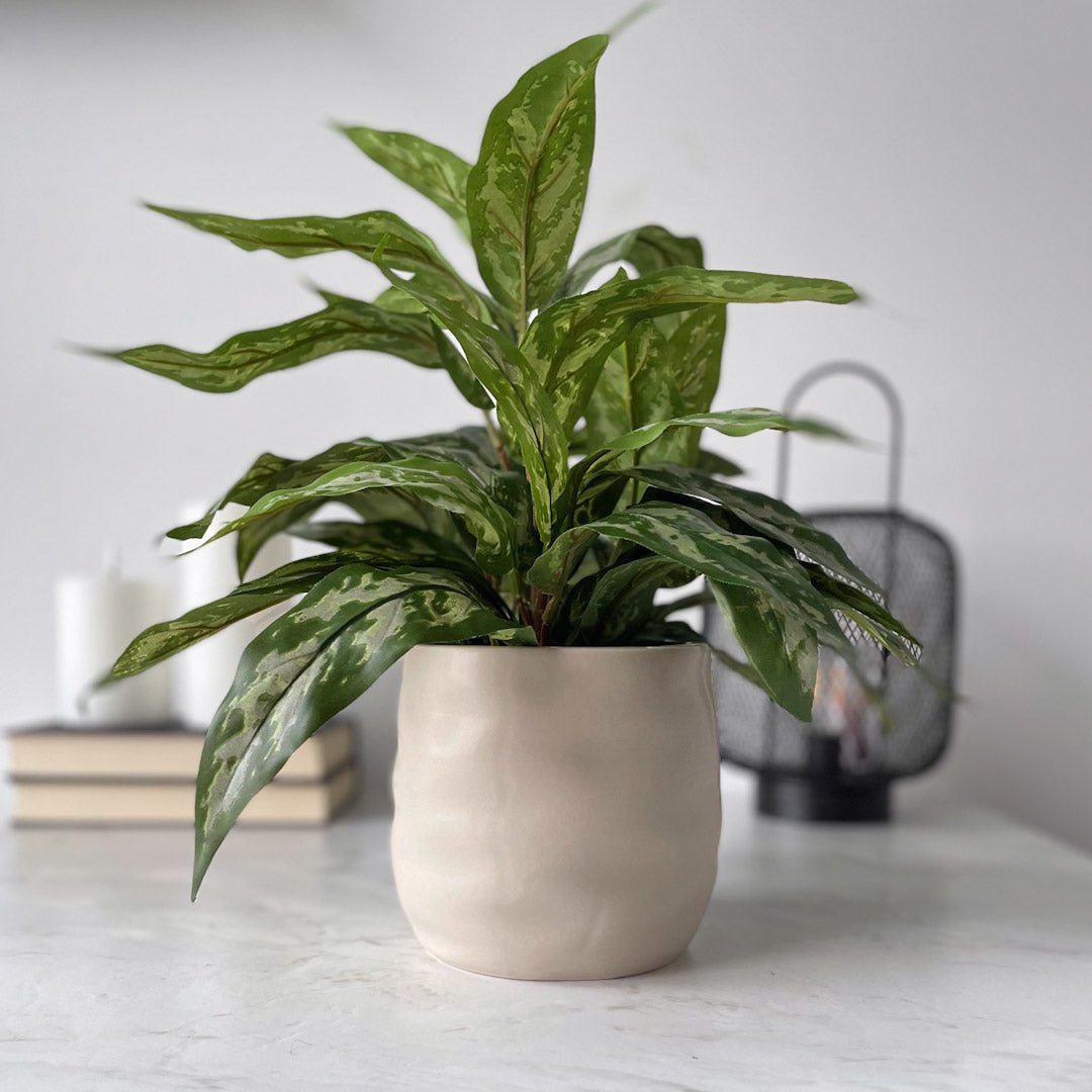 Mr. Plant Aglonema 35 cm - Lindas Dekor Kunstige planter