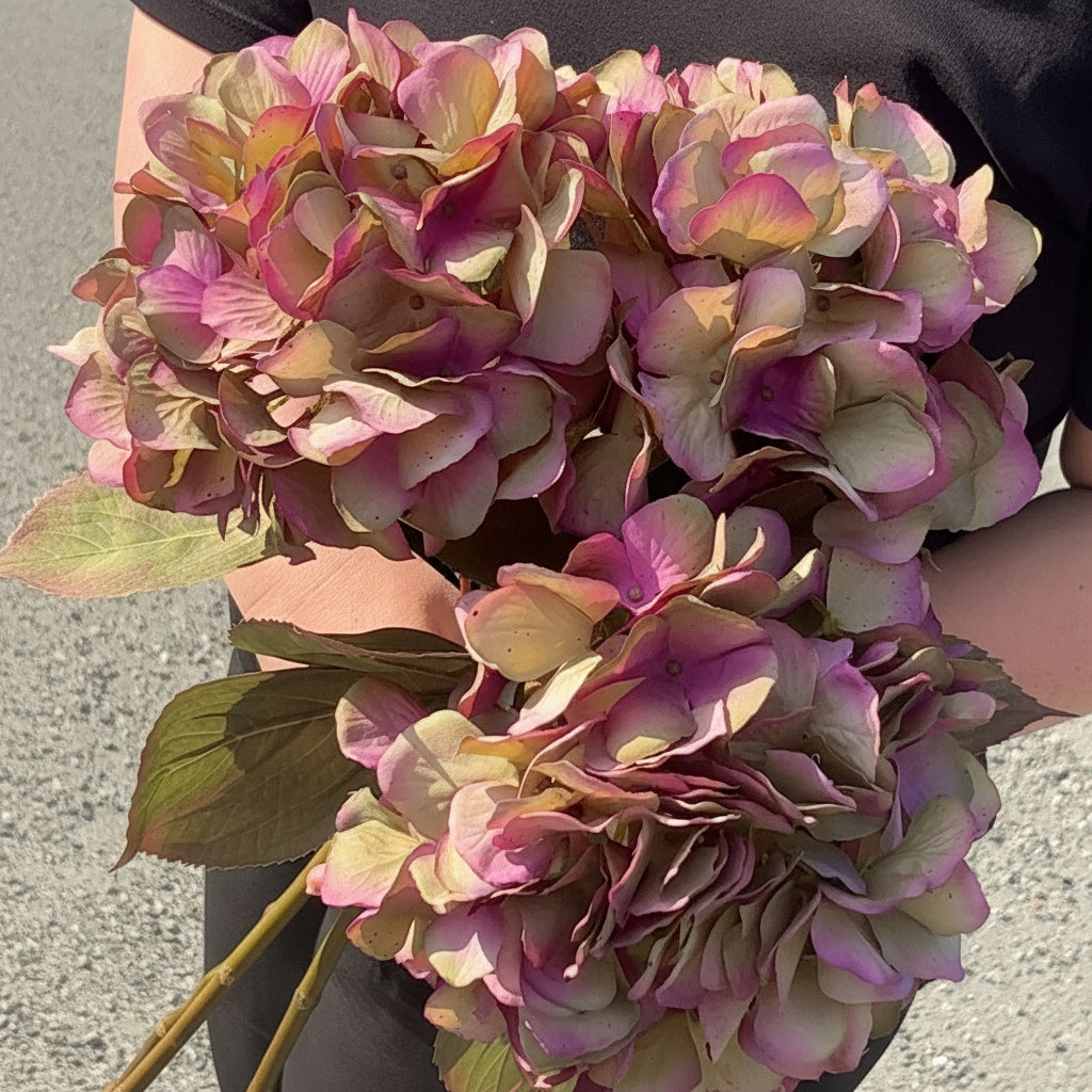 Mr. Plant Hortensia lilla/grønn, 65 cm