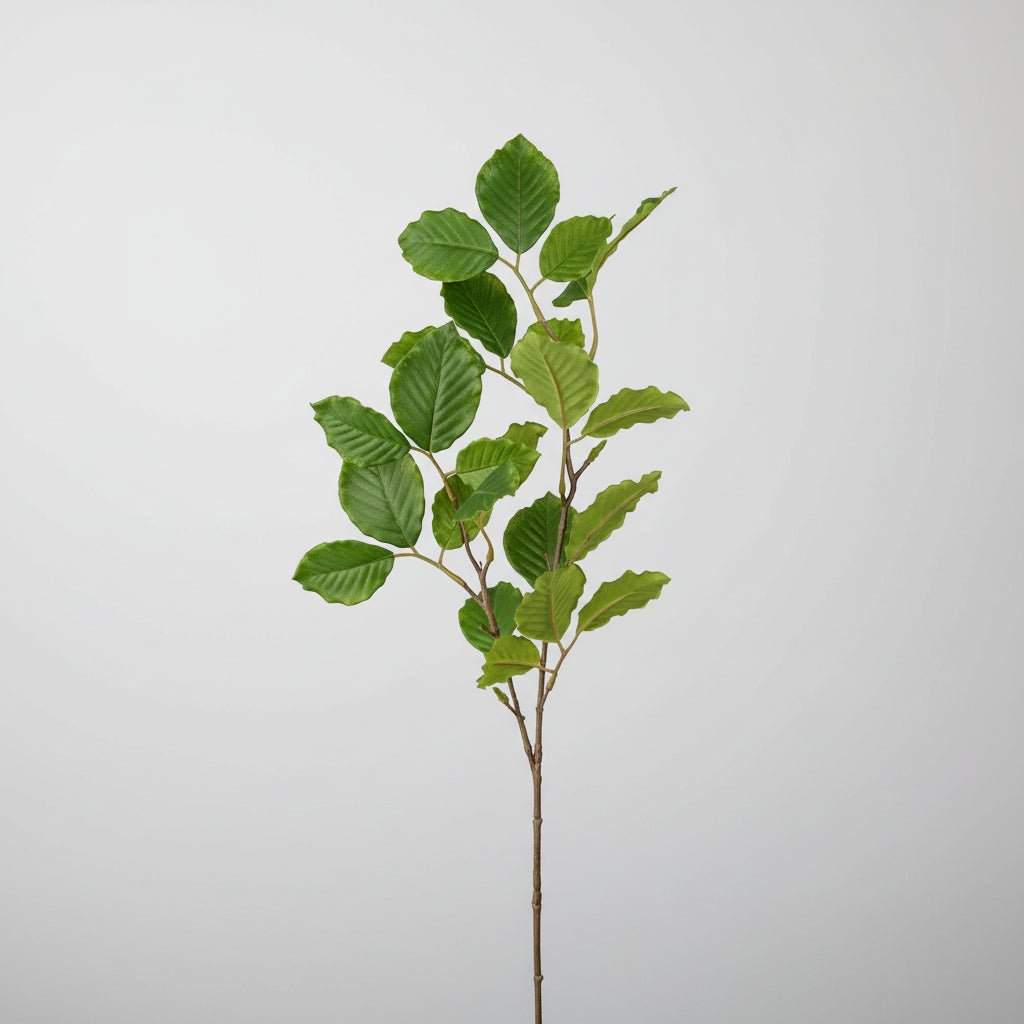 Mr. Plant bøk - Lindas Dekor