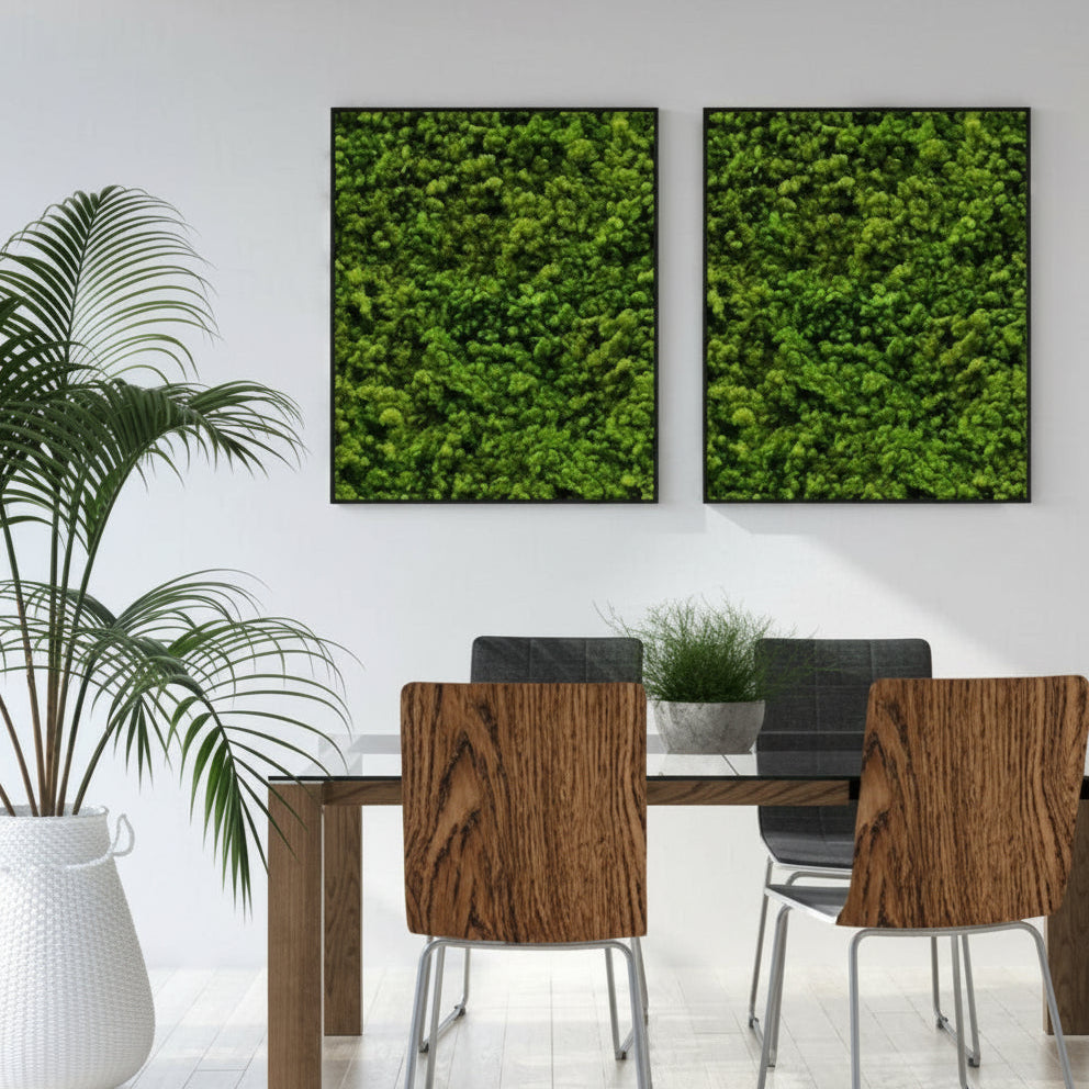 Oak robust kontaktplast