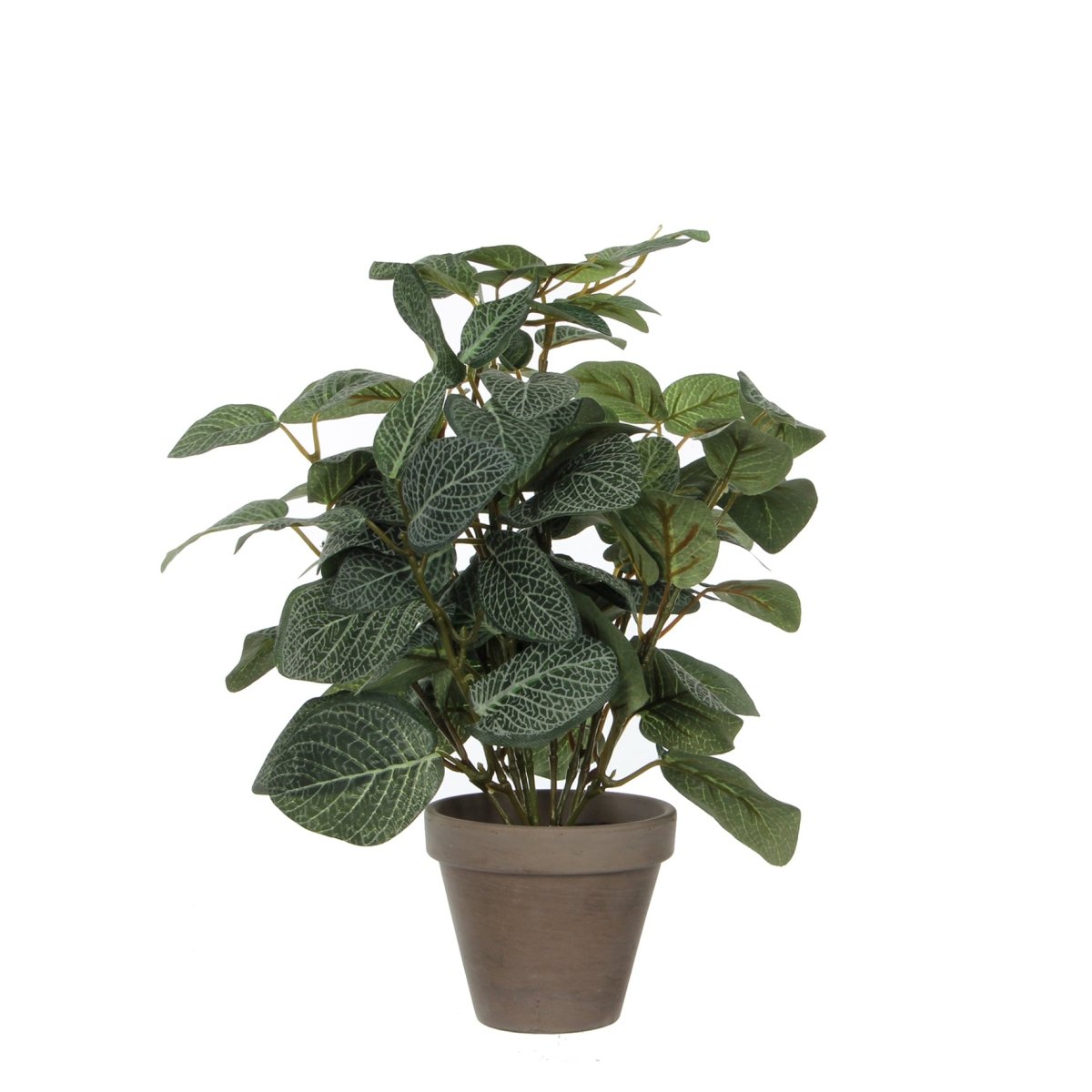Kunstig Pilea plante grønn med detaljerte blader i potte på hvit bakgrunn
