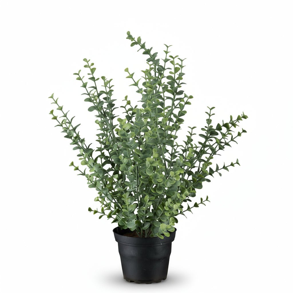 Mr. Plant eucalyptus - Lindas Dekor