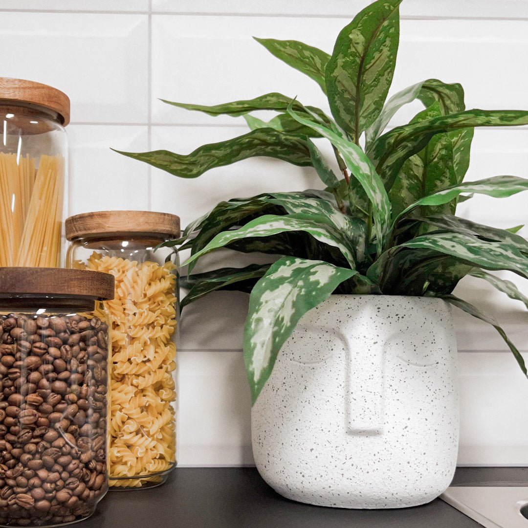 Mr. Plant Aglonema 35 cm - Lindas Dekor Kunstige planter