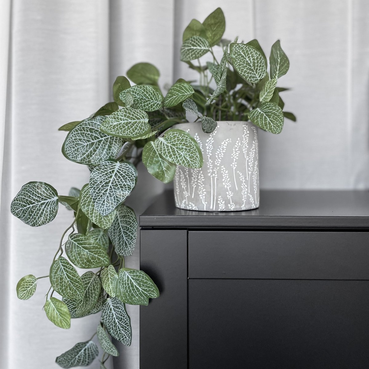 Konstgjord Fittonia-växt i den mönstrade krukan på en mörk hylla framför ljusa gardiner.