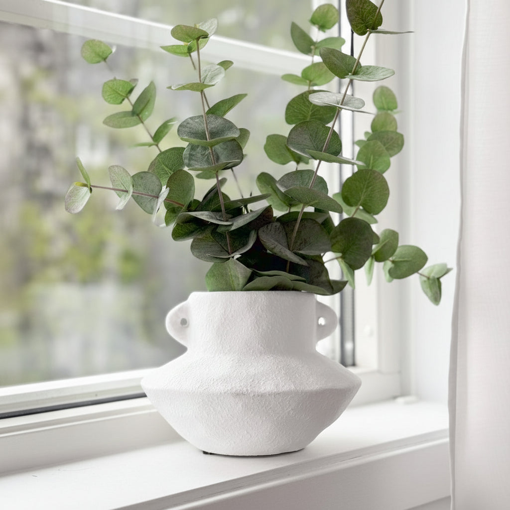 Naturtro eucalyptus med grønne blader brukt som dekor i stue