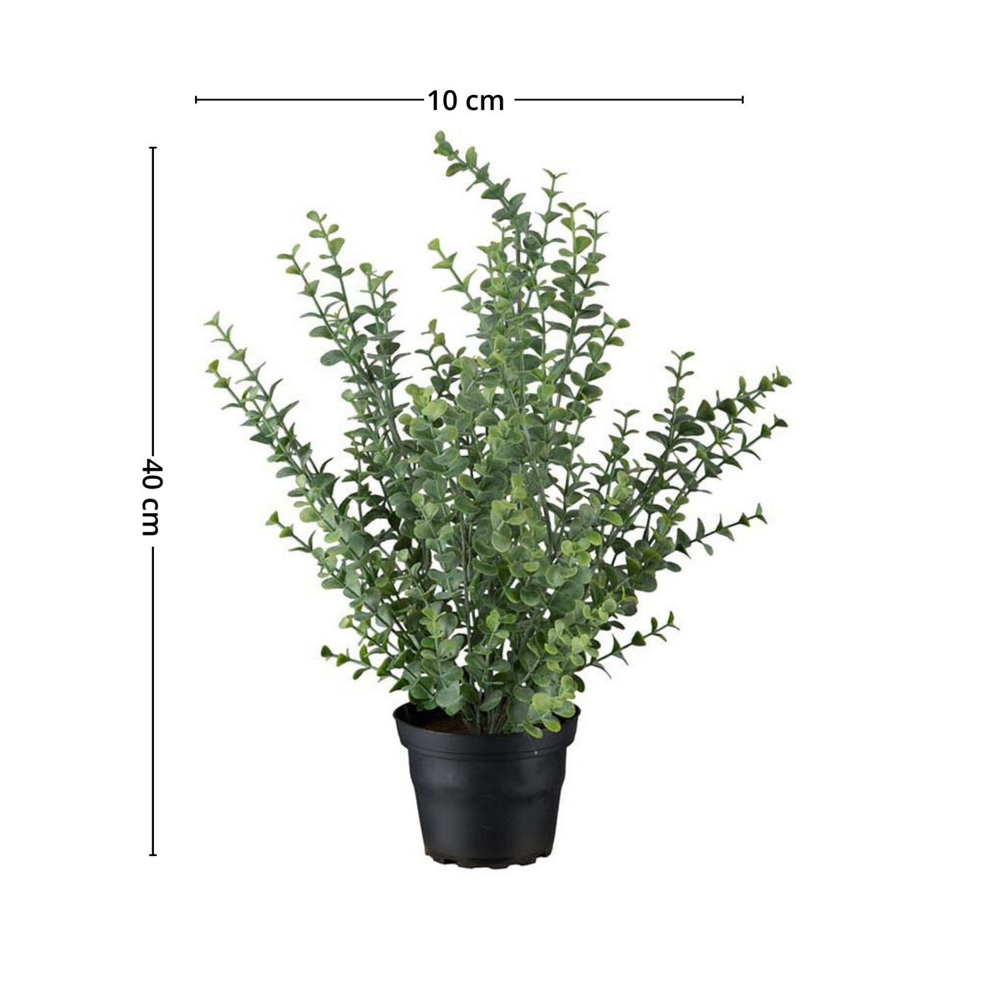 Denne nydelige eucalyptusplanten i plast er en utmerket måte å fornye hjemmet på uten behov for sollys eller vann.