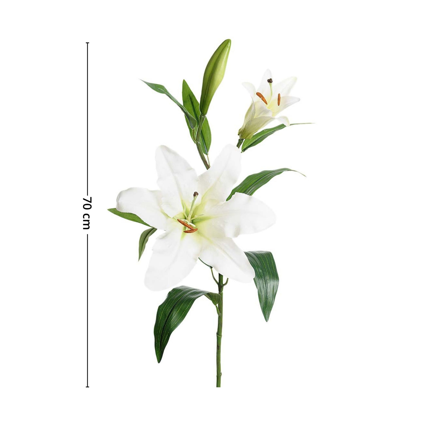 Mr. Plant lilje frisker opp hjemmet med sine naturlige og vakre farger.