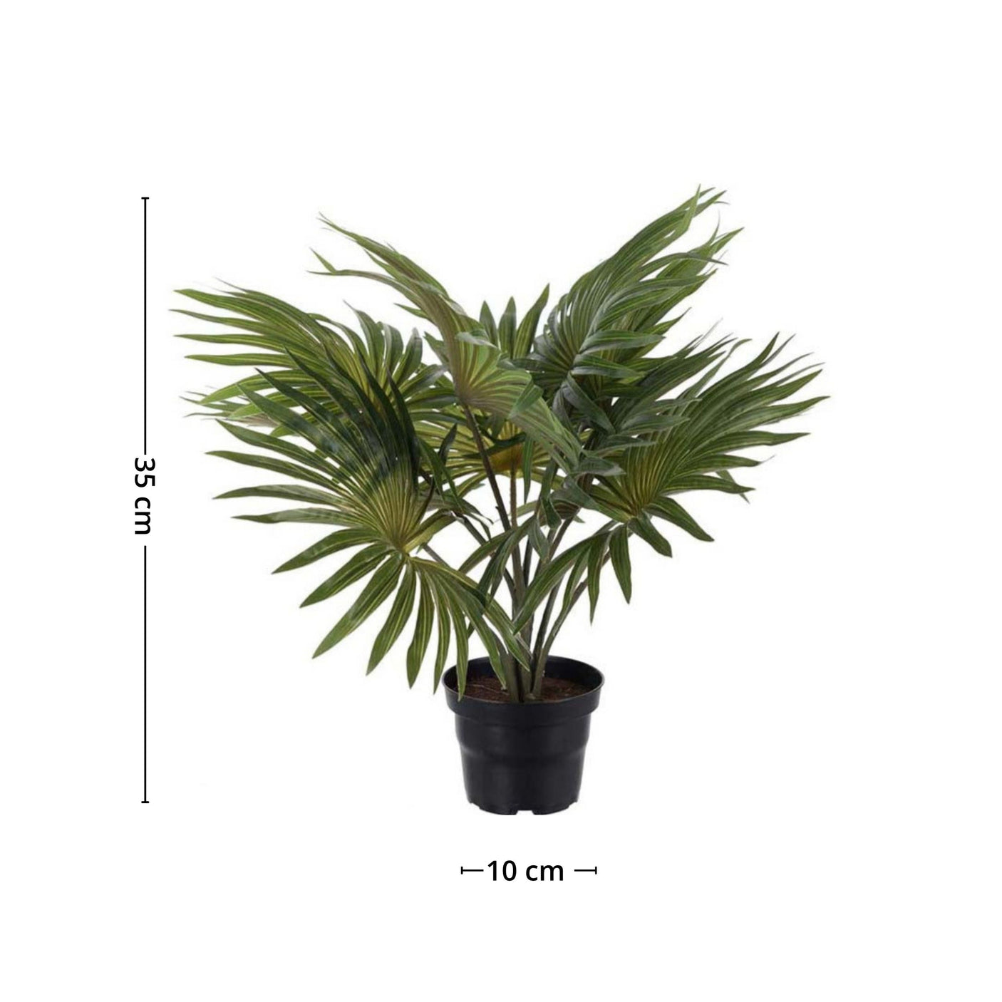 Mr. Plant palme, oppgrader hjemmet og gi det et ekostisk uttrykk med Mr. Plant palme.