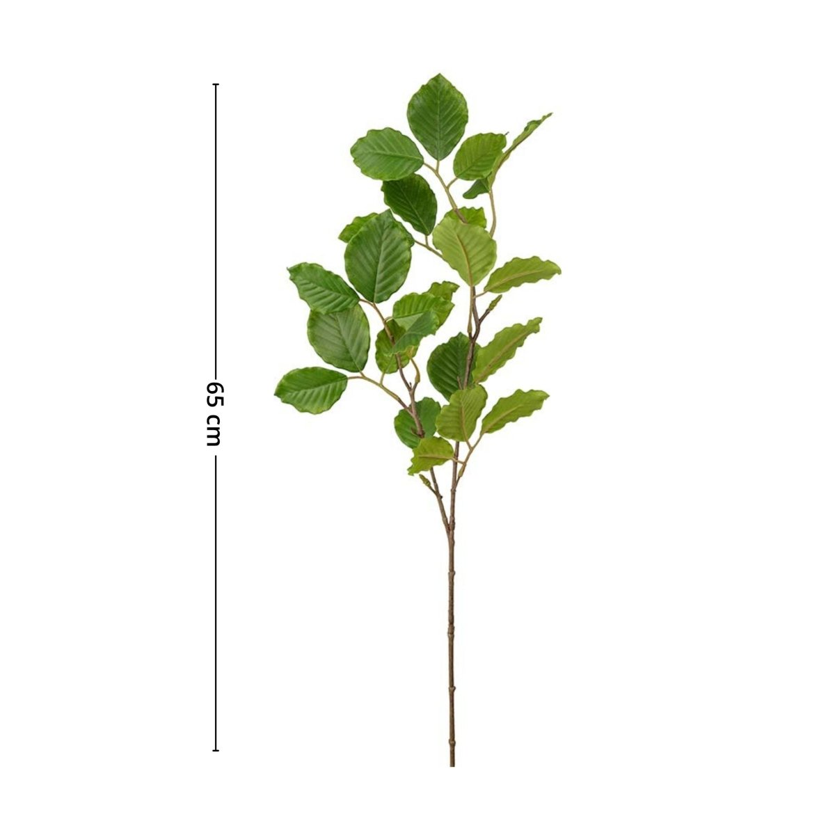 Mr. Plant bøk - Lindas Dekor