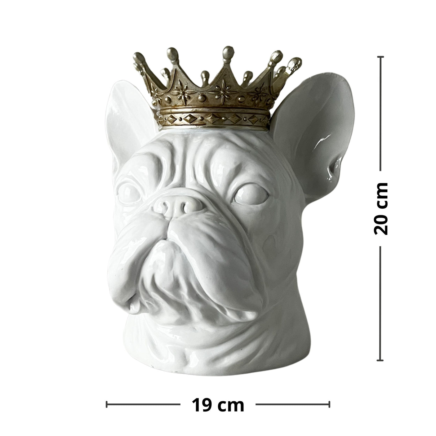 King Winston, figur