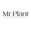 Mr Plant hos Lindas Dekor. Kunstige planter. Logo.