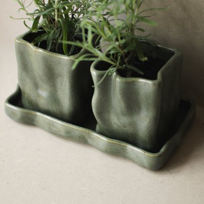 Herb Moss potter med friske urter plassert på matchende keramikkfat