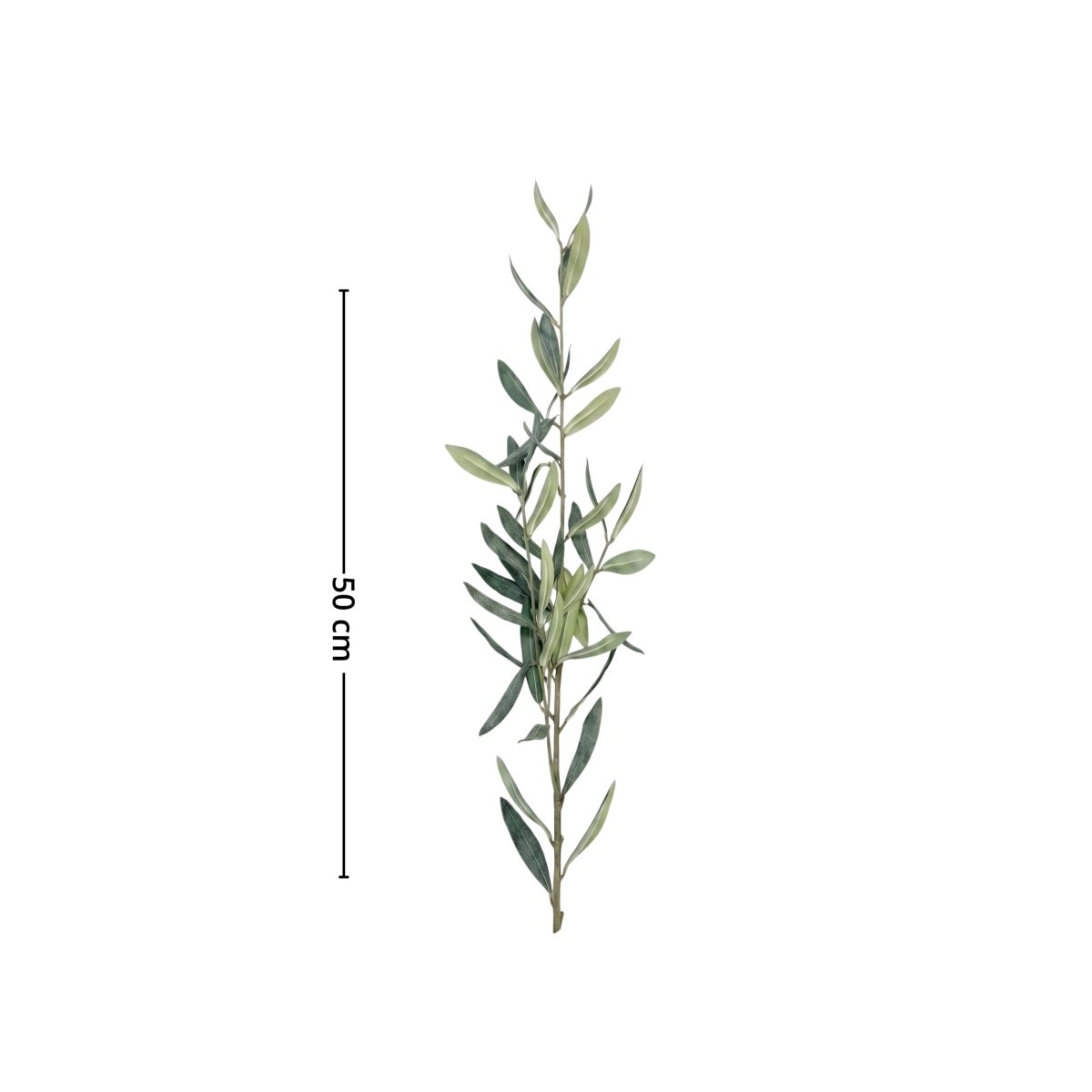Produktbild på Mr. Plant oliverkvist 50 cm med gröna olivblad