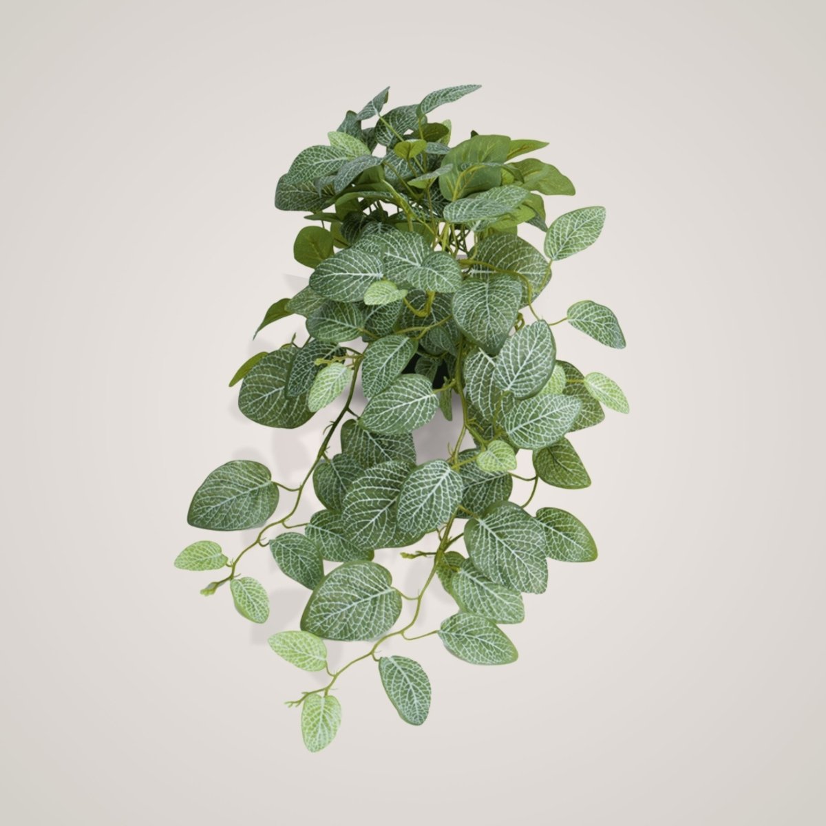 Konstgjord Fittonia-planta med täta blad mot beige bakgrund.