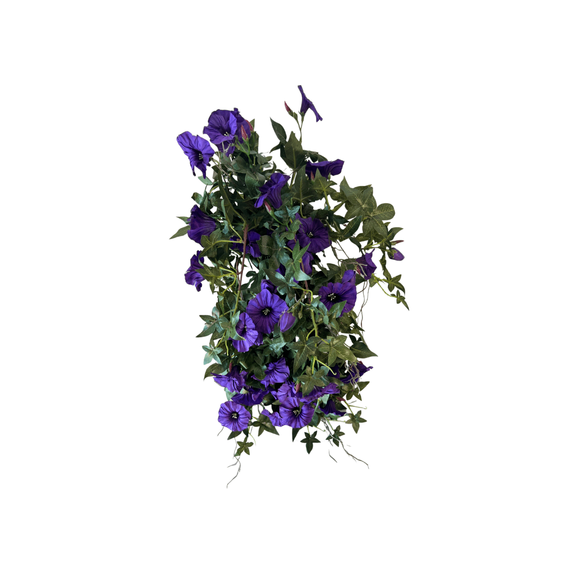 Mr. plant blomma för dagen - Lindas Dekor