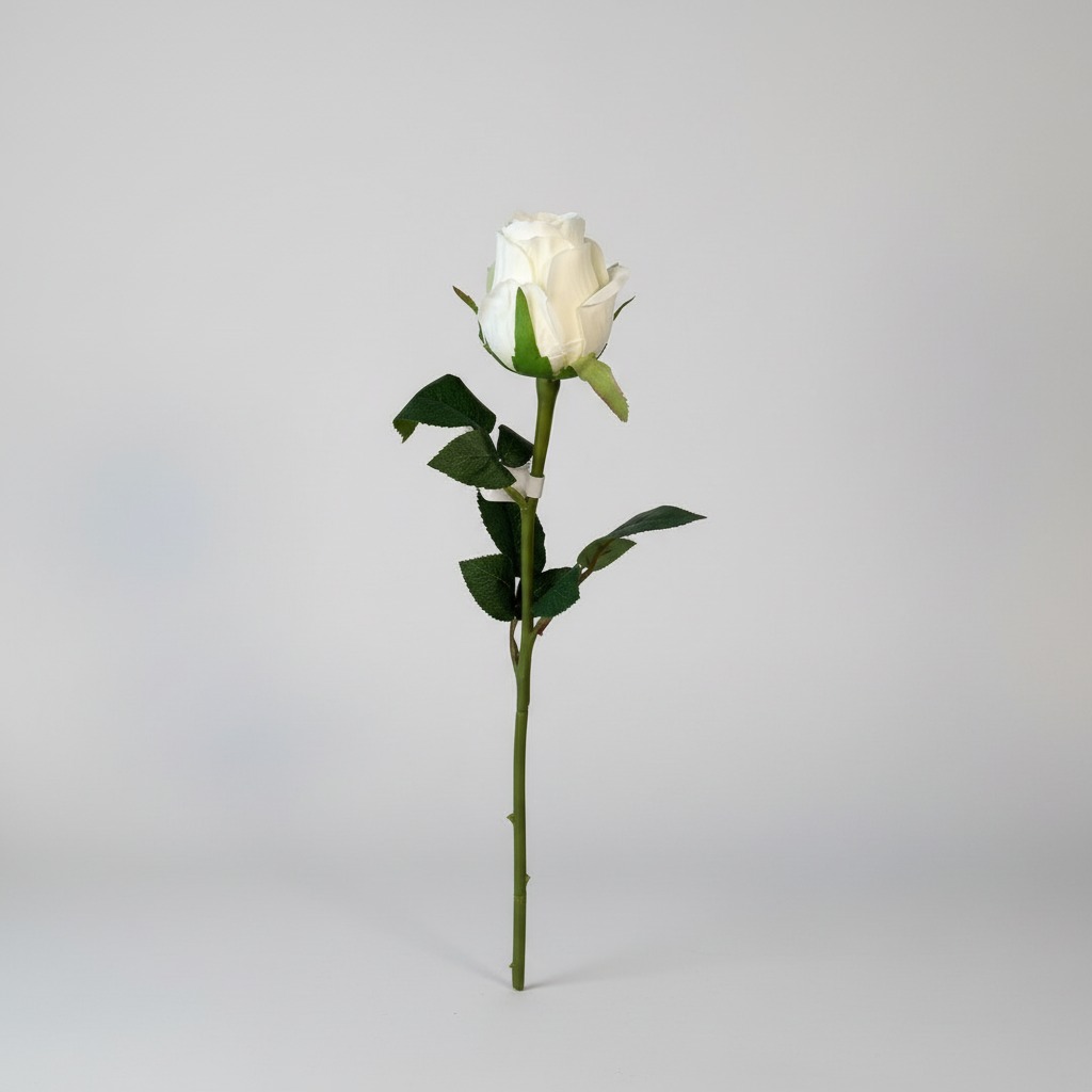 Elegant og vedlikeholdsfri hvit rose for dekorasjon og interiør, produsert av Mr. Plant.