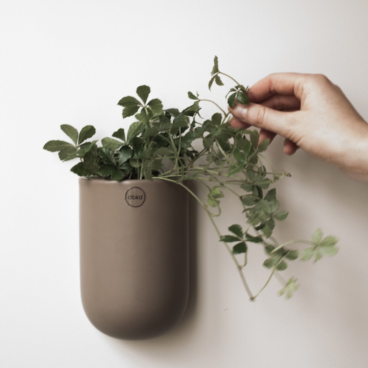 DBKD Cut veggpotte M i dust-farge - keramisk veggpotte til planter