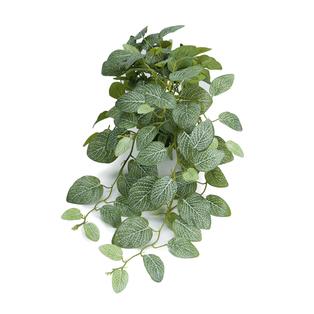 Konstgjord Fittonia-växt med gröna blad och vita åror mot vit bakgrund.