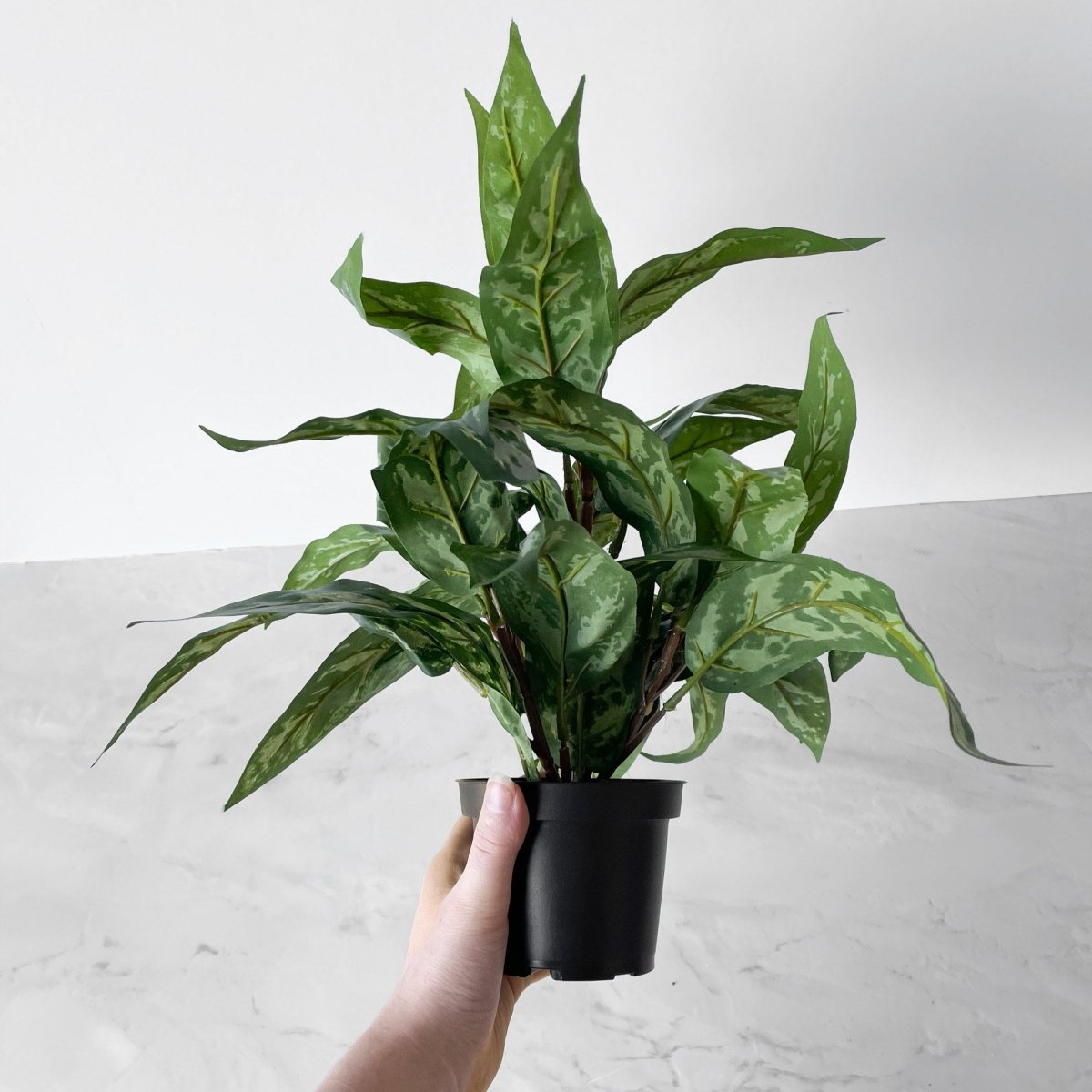 Mr. Plant Aglonema 35 cm - Lindas Dekor Kunstige planter