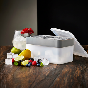 isbitform med lokk og oppbevaringsboks 32 isbiter