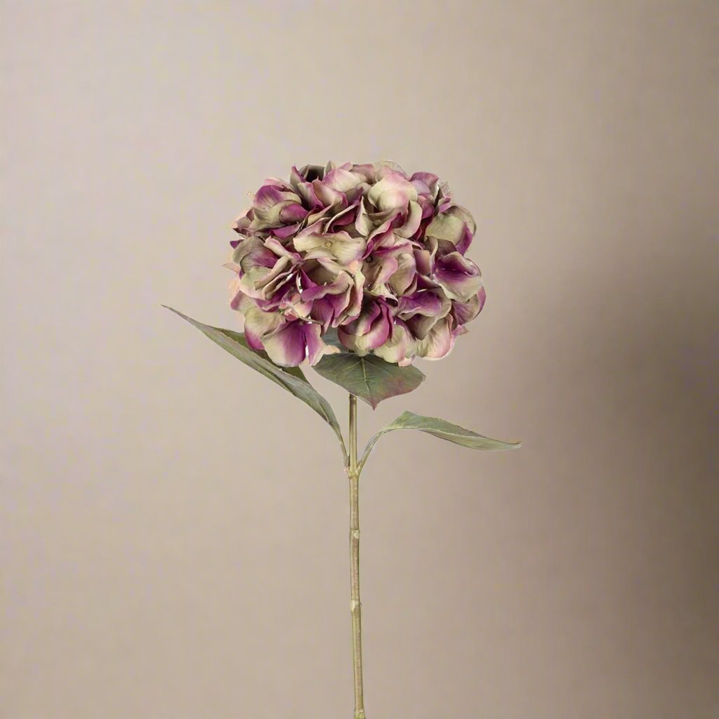 Mr. Plant  Hortensia lilla/grønn, 65 cm