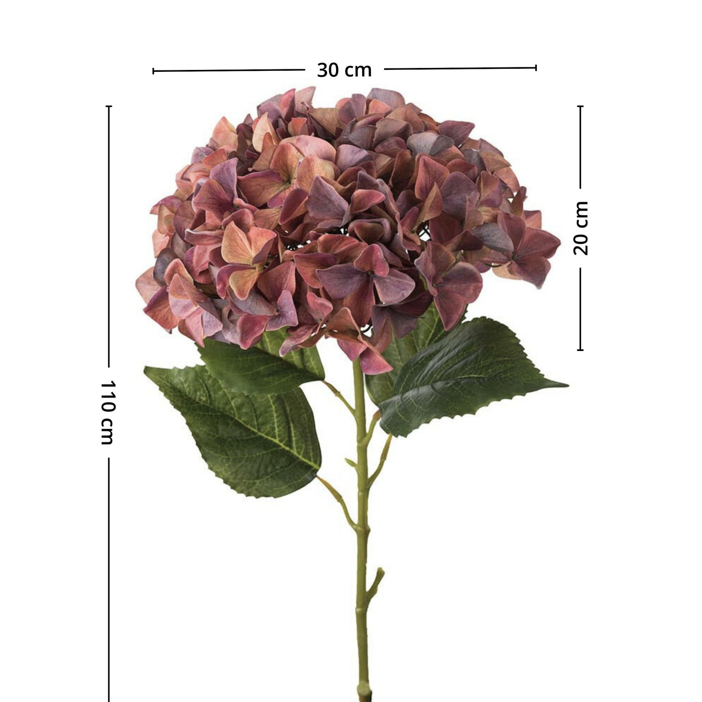 Mr.Plant Hortensia 110 cm