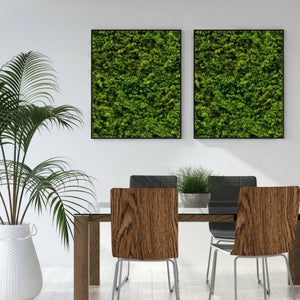 Oak robust kontaktplast