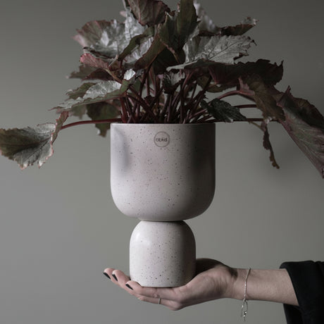 optimaliser kvalitet
