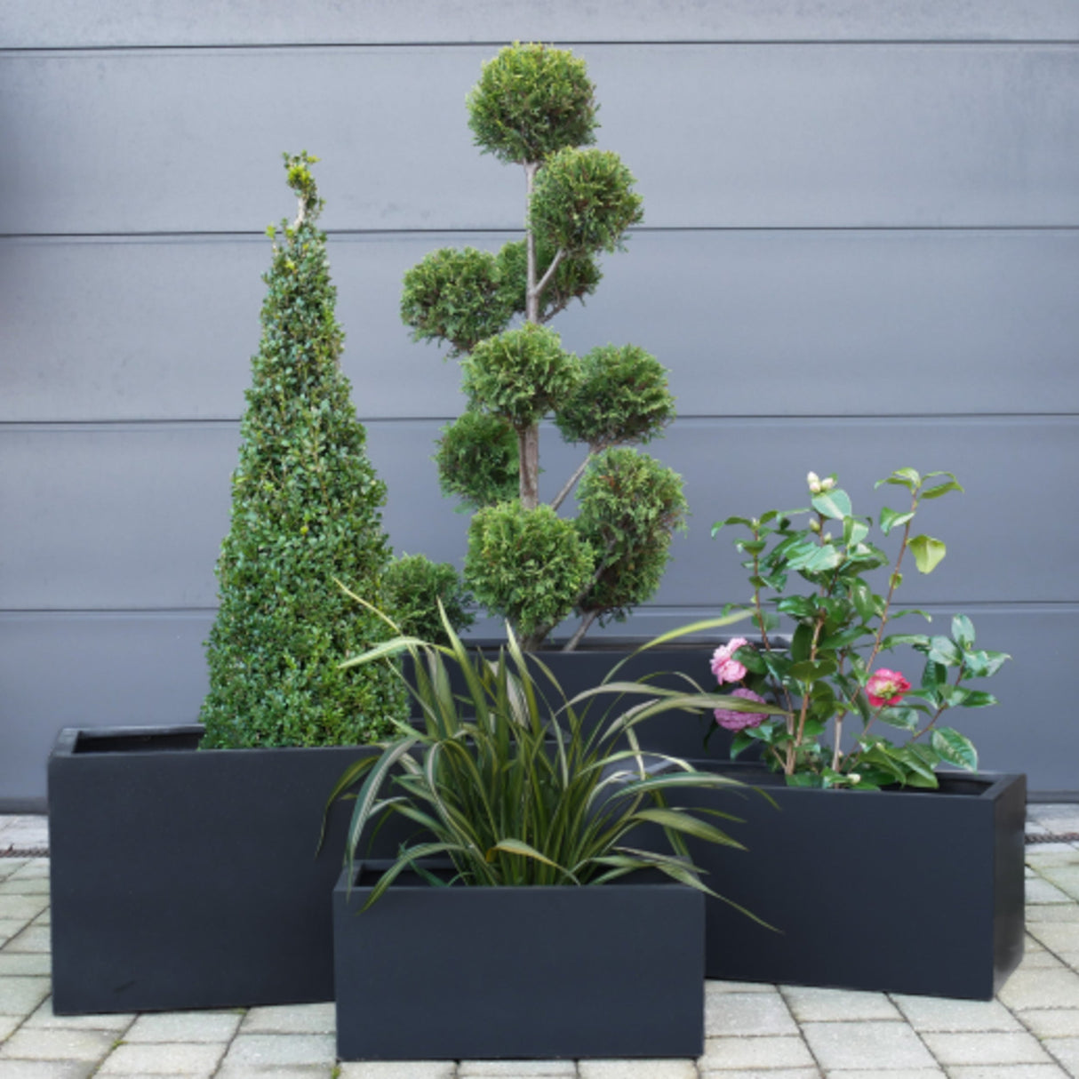 Modern plantering, svart