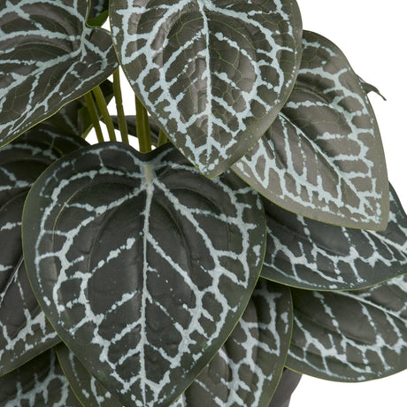 Naturtro grønn dekorplante i liten sort potte til hjemmet