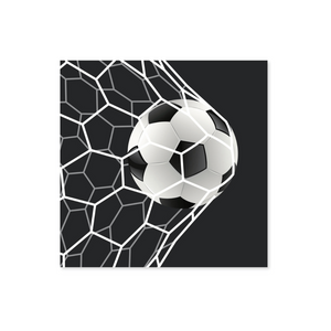Servetter med fotboll 20-pk