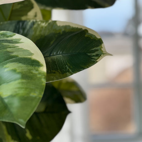 Kunstig grønn plante med store blader i sort potte
