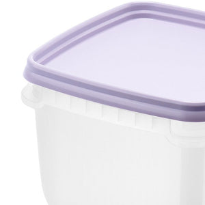 Frysebokser med lilla lokk til bær, sopp og middagsrester