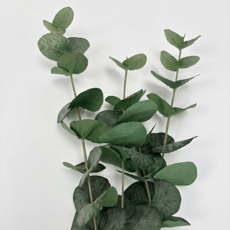 Närbild av konstig eukalyptus med naturtro gröna blader i plast