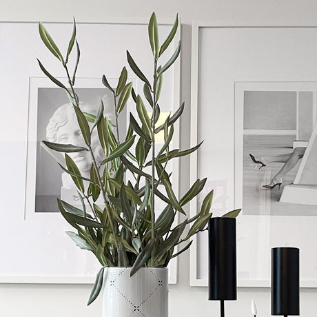 Dekorativ olivenkvist fra Mr. Plant til stue og kjøkken