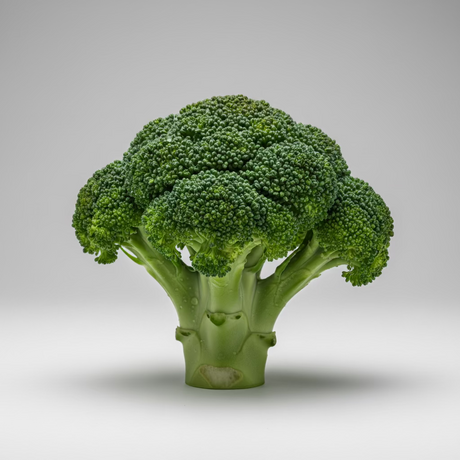 Mr. Plant Brokkoli detalj - kunstig brokkoli med autentisk struktur og naturlige grønne fargenyanser