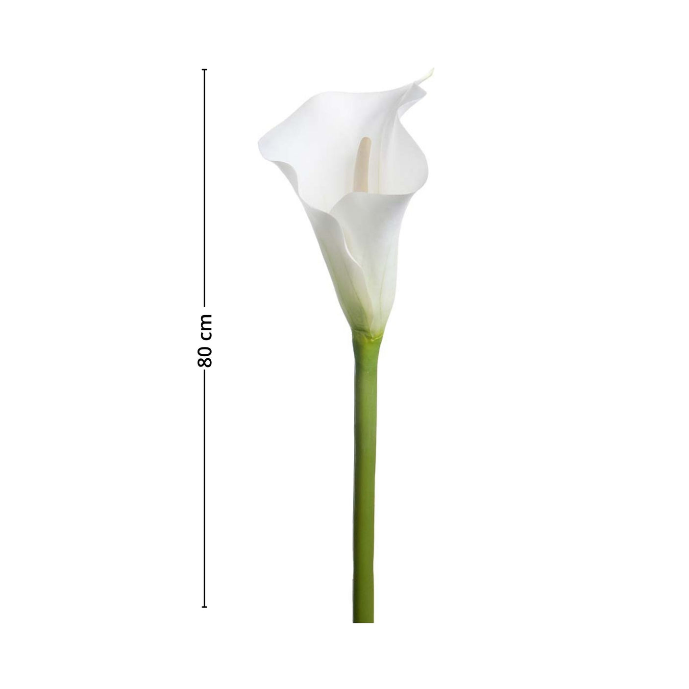 Mr. Plant calla lilje er et utmerket alternativ til å friske opp hjemmet med. 