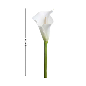 Mr. Plant calla lilje er et utmerket alternativ til å friske opp hjemmet med. 
