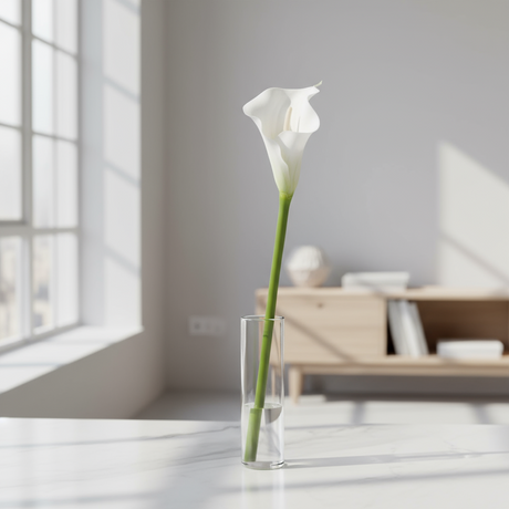 Mr. Plant calla-lilja