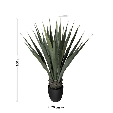 Med denne agaveplanten i plastikk blir vedlikeholdet av planten enkelre enn noen gang. 