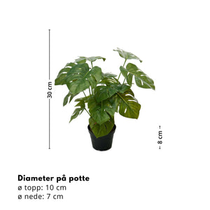 Mr. Plant Monstera 38 cm