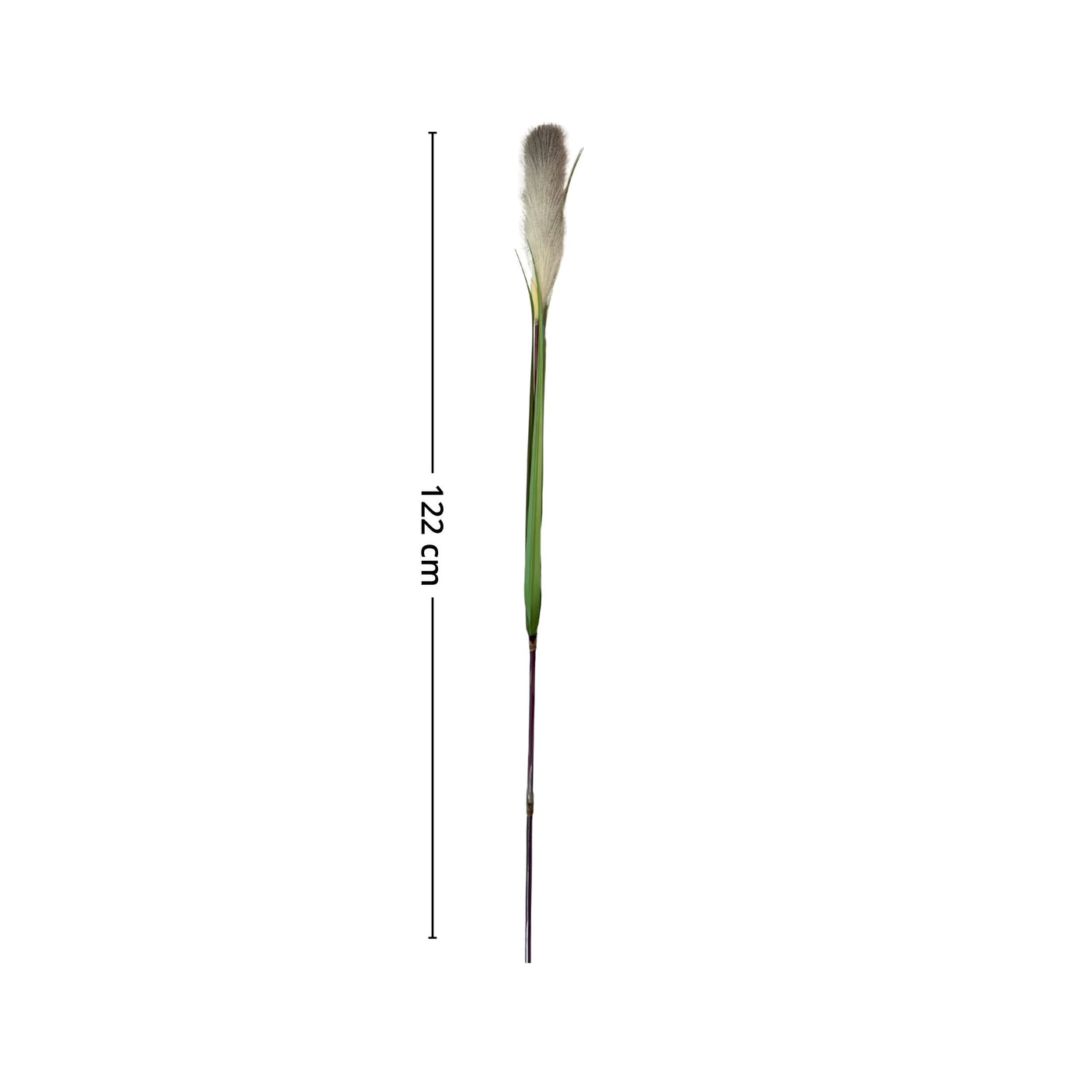 Lang stilk med realistisk pampasdusk for tidløs og elegant blomsterdekorasjon.