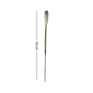 Lang stilk med realistisk pampasdusk for tidløs og elegant blomsterdekorasjon.
