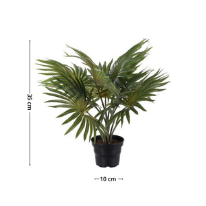 Mr. Plant palme, oppgrader hjemmet og gi det et ekostisk uttrykk med Mr. Plant palme. 