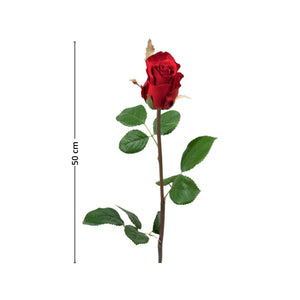 Denne nydelige rosen fra Mr. Plant er helt tidløs og kan brukes til praktisk talt alle settinger. 