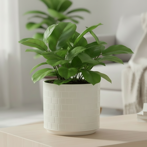 Blomsterpotte Keramikk Hvit Stor