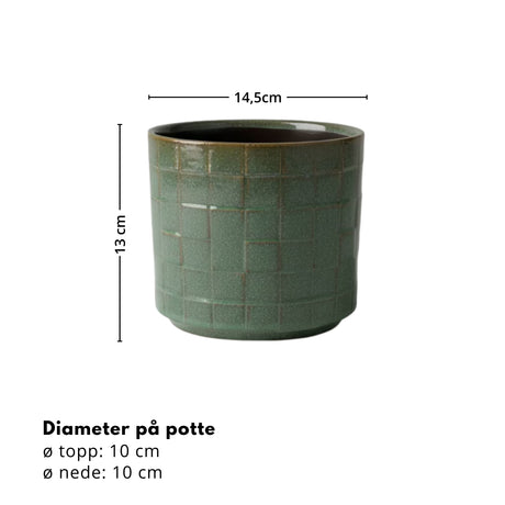 Skogsmosaikkruka ø 12 cm