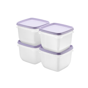 SmartStore Frost fryseboks 4 pk 0,75 liter til matoppbevaring i fryser